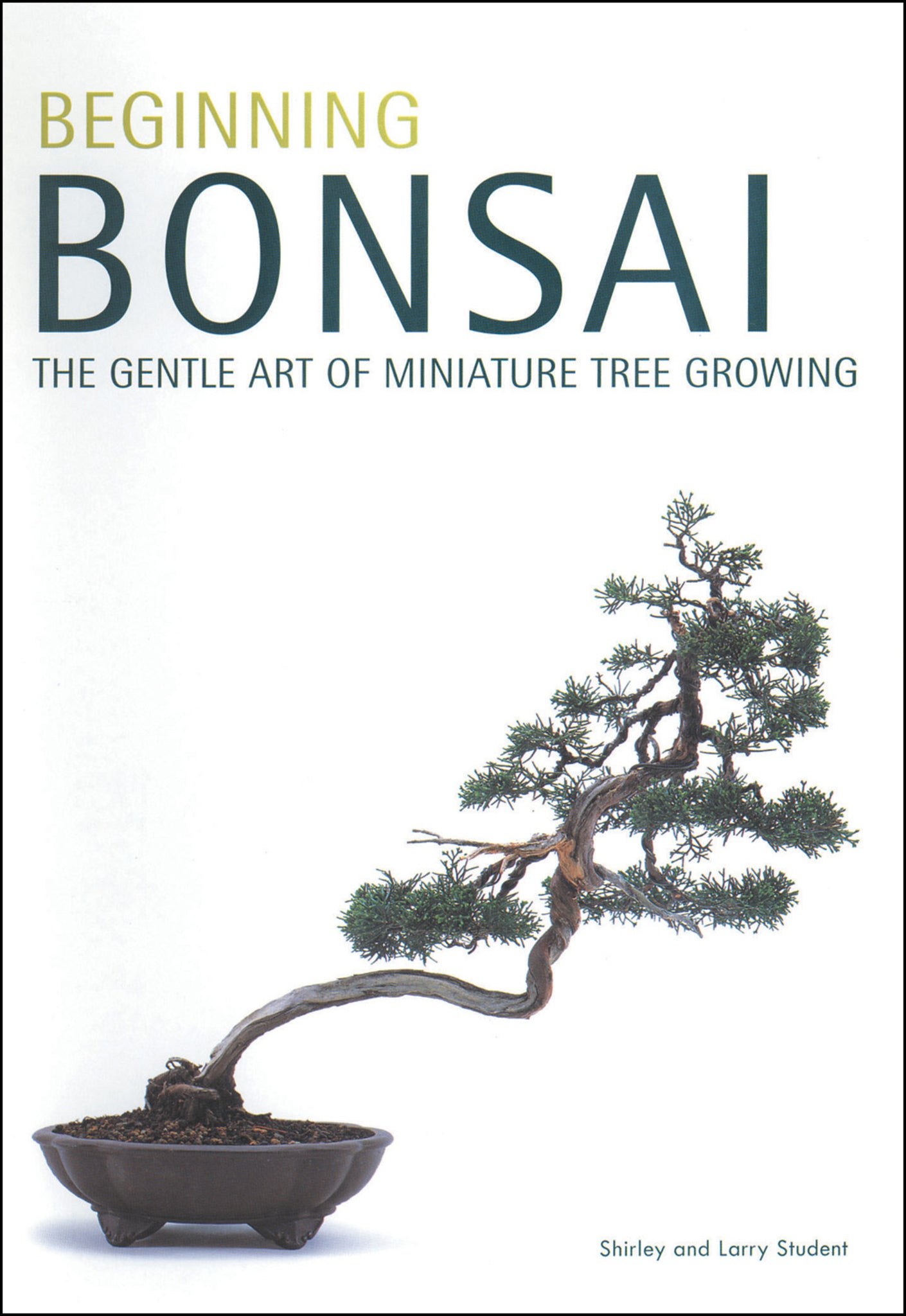 Cover image for Beginning Bonsai ISBN 9780804817295